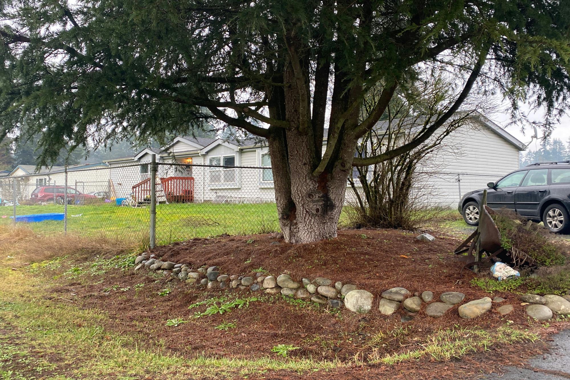 Camas Run Ln, Rochester, WA 98579 #1