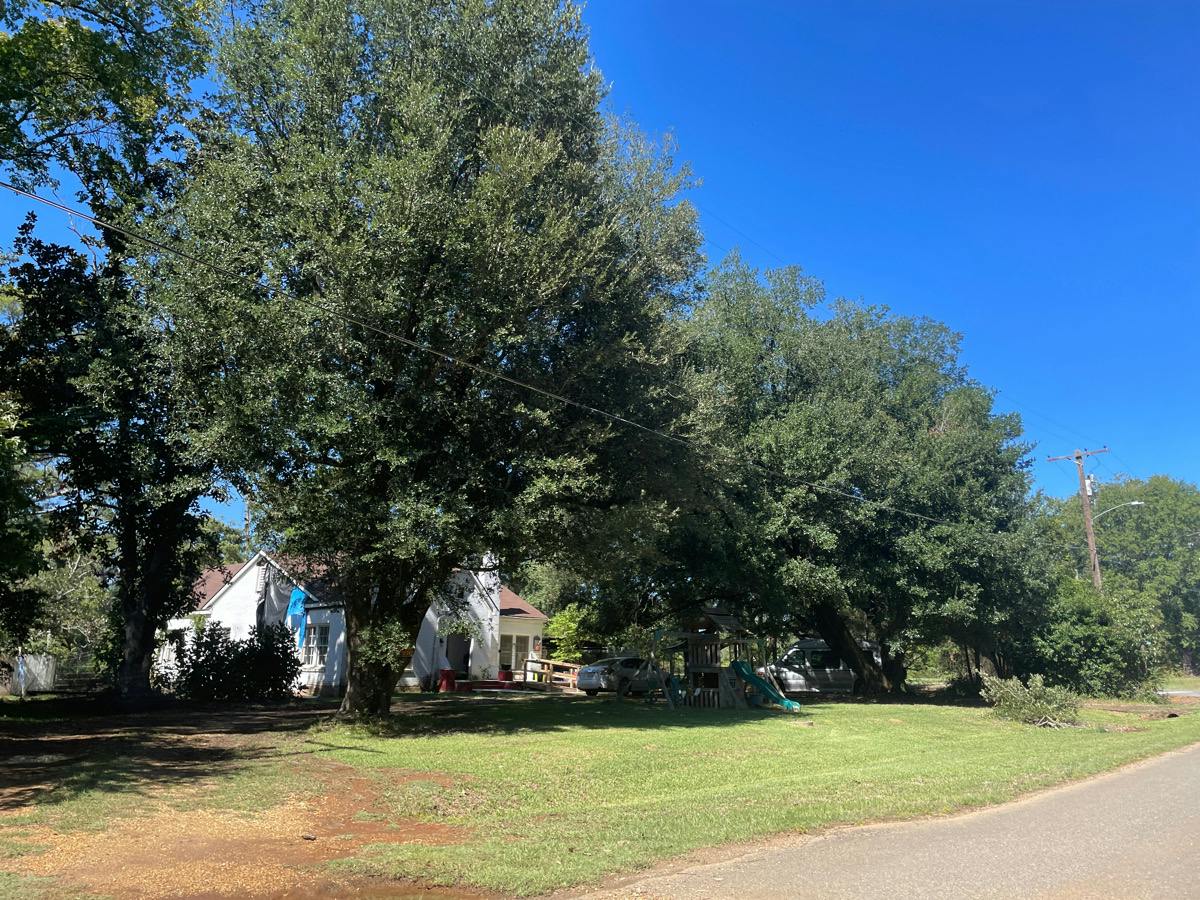 Parkway Dr, Hosston, LA 71043 #1