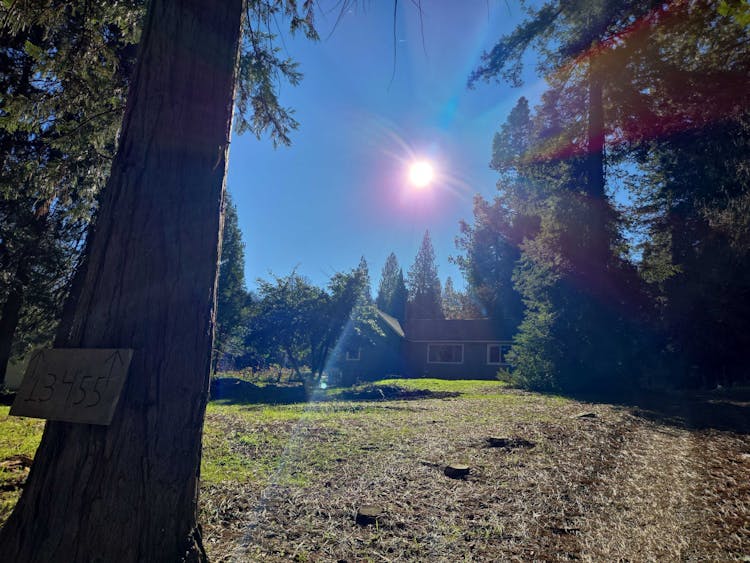 13455 Peardale Road Grass Valley, CA 95945, Nevada County