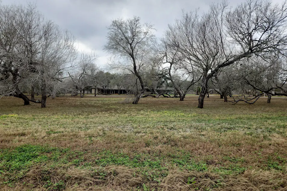 815 Alexander Avenue Kingsville, TX 78363, Kleberg County