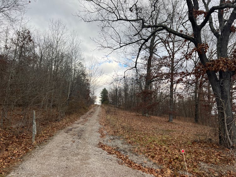 41892 Fitzpatrick Road Wilkesville, OH 45695, Vinton County