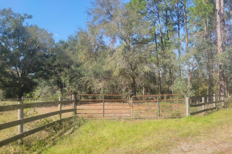 10351 SE 195th St Inglis, FL 34449, Levy County