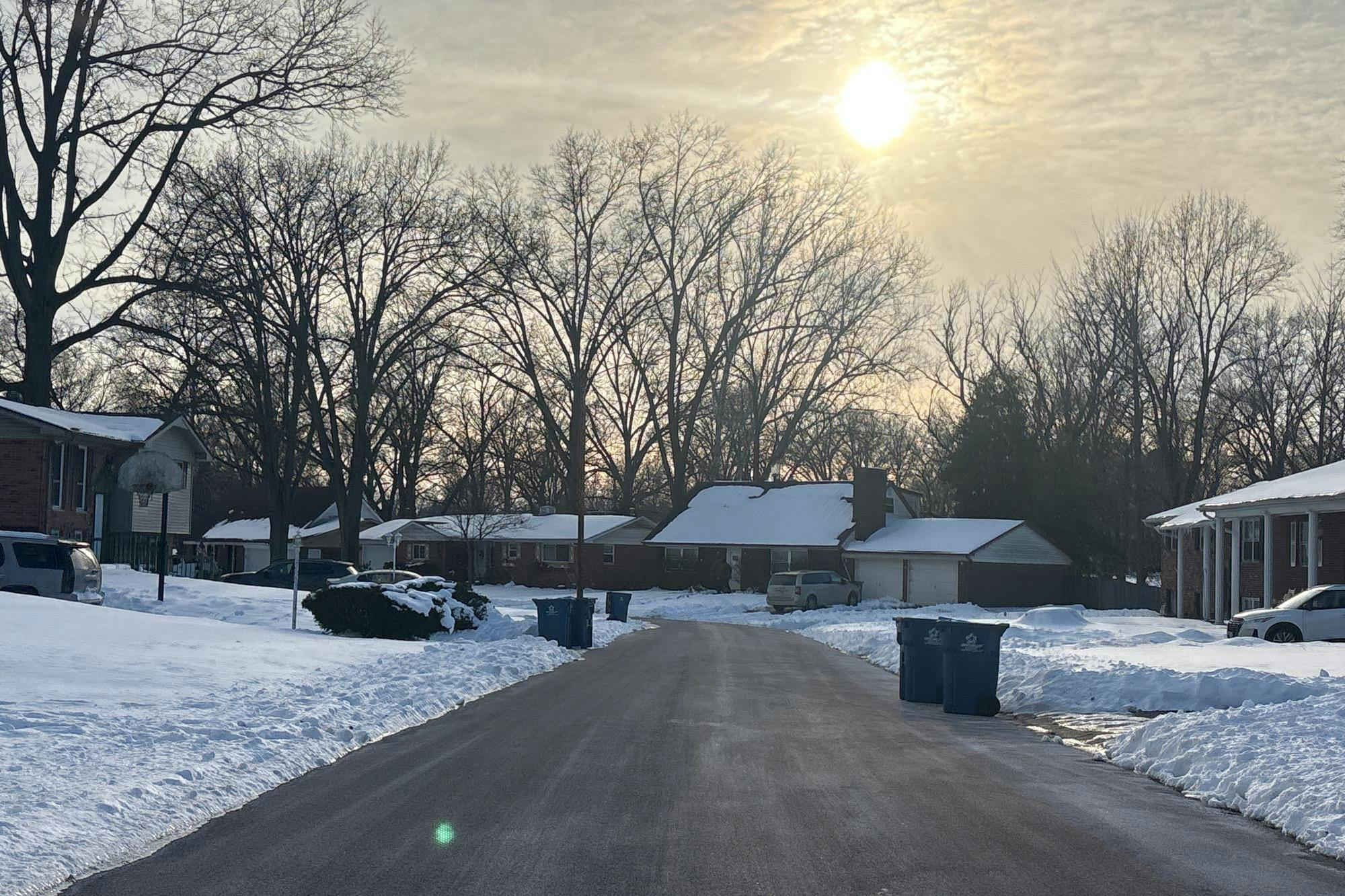 Philecia Dr, Swansea, IL 62226