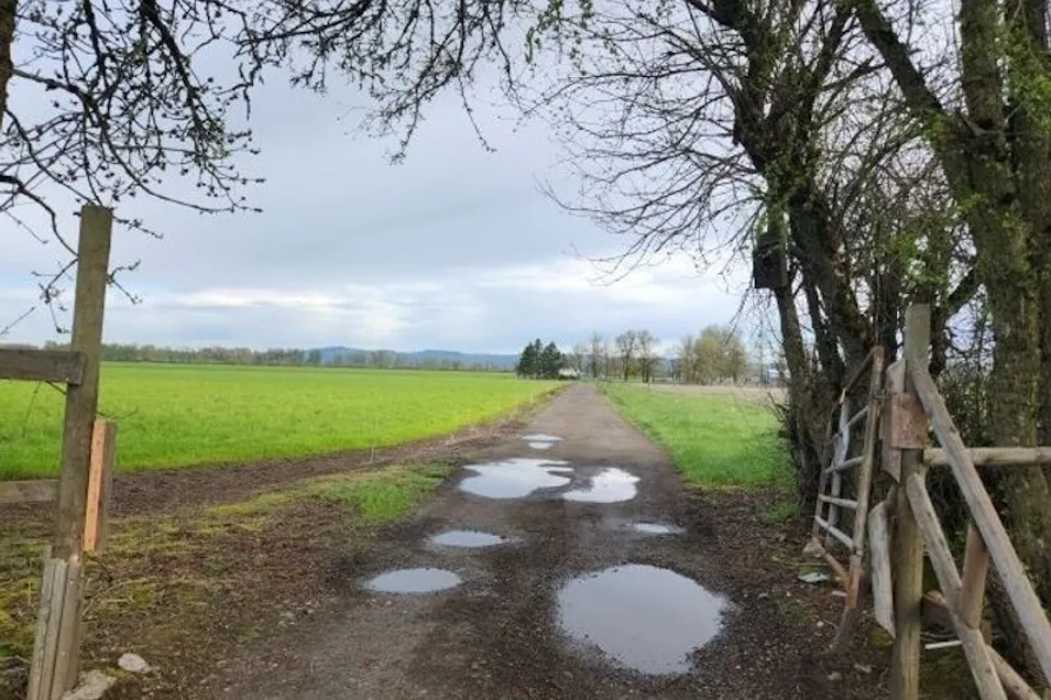 1635 Talbot Road South Jefferson, OR 97352, Marion County