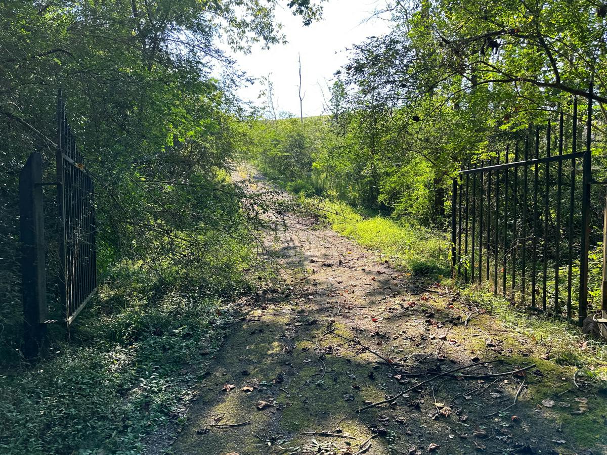 Blackjack Rd, Trussville, AL 35173