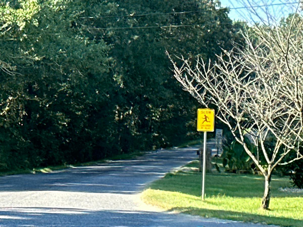 Blackjack Rd, Trussville, AL 35173 #1