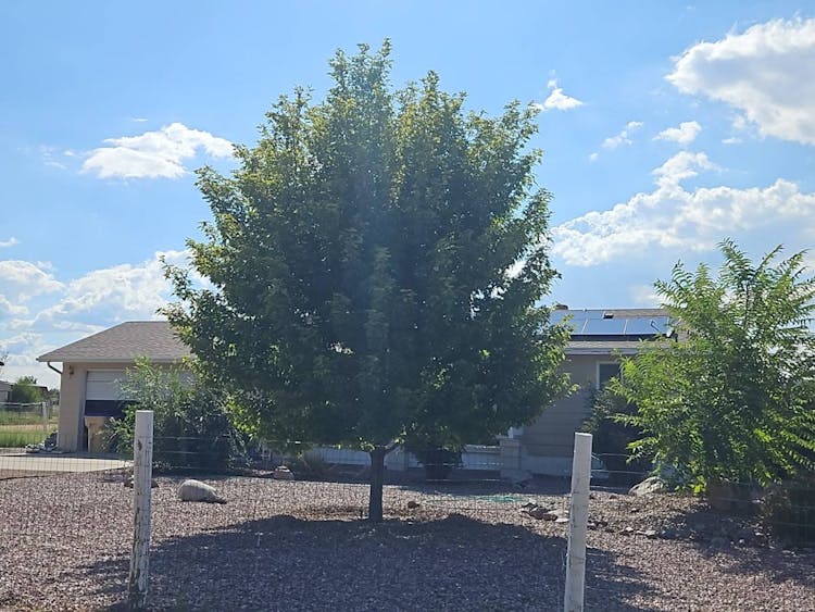 2512 Maricopa St Chino Valley, AZ 86323, Yavapai County