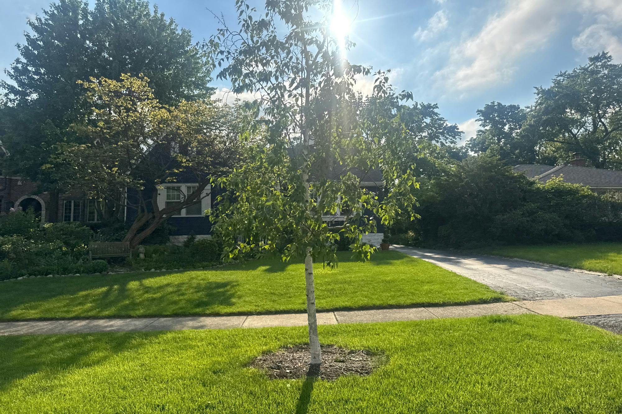 22 Arthur Ave  