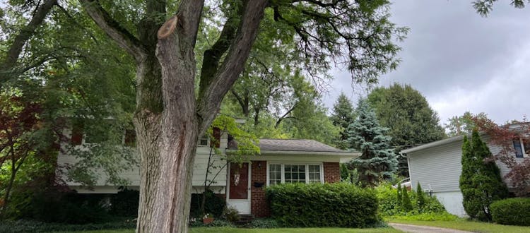 350 Burroughs St Plymouth, MI 48170, Wayne County