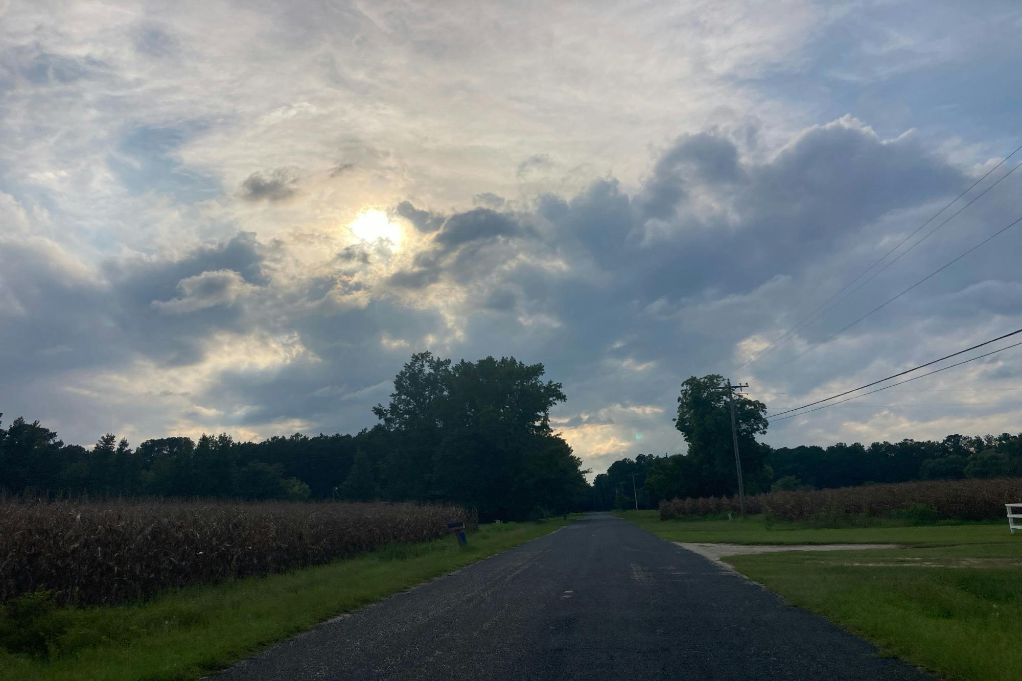 Allen Rd, Effingham, SC 29541