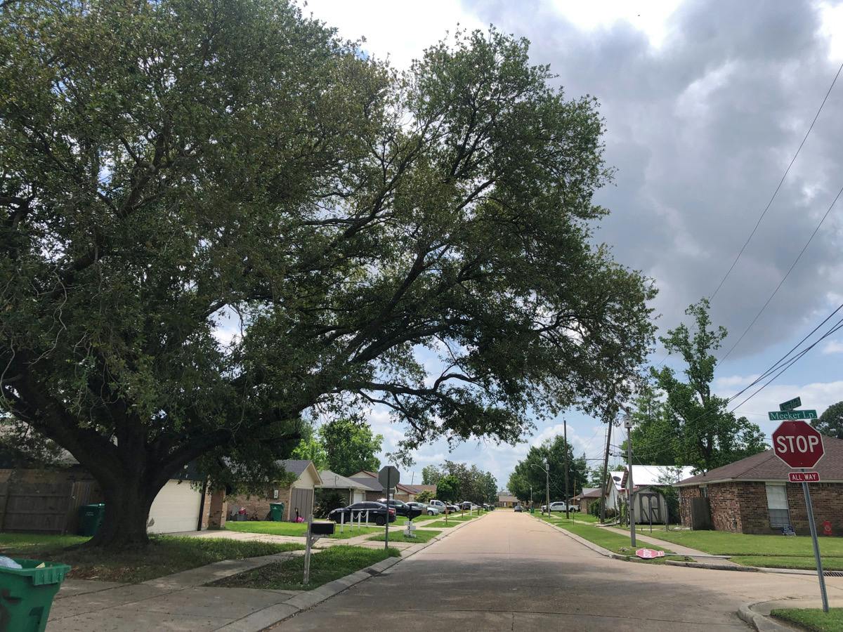 Sugar Ridge Rd, LA Place, LA 70068 #1