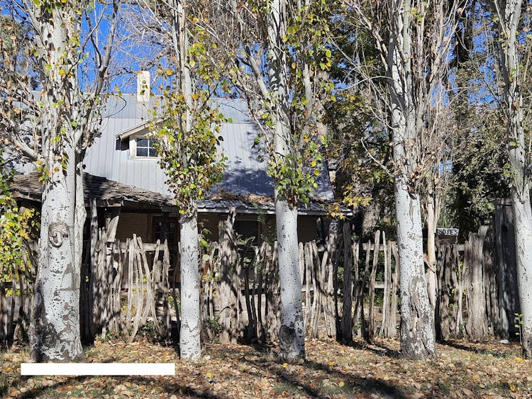 801 E 5th St Roswell, NM 88201, Chaves County