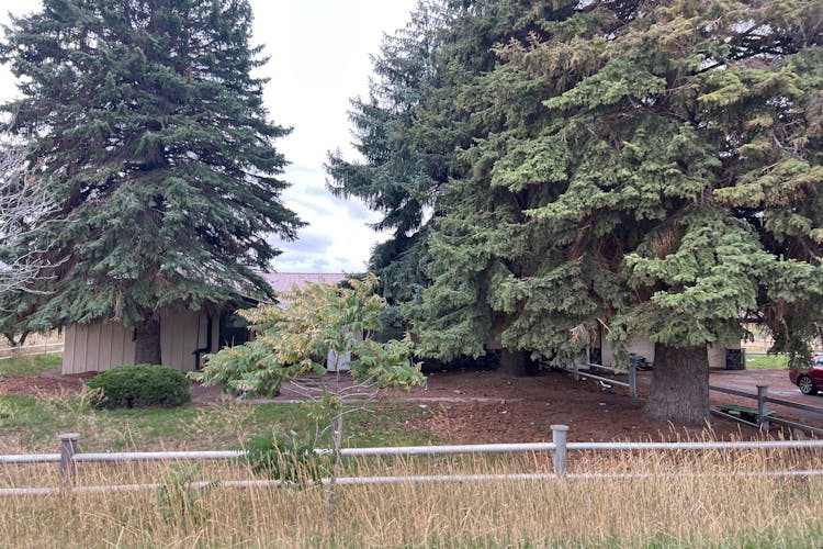 621 W 100 S Blackfoot, ID 83221, Bingham County