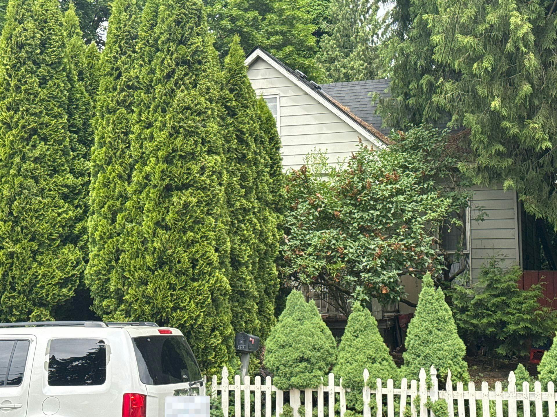 Maple St, Hillsboro, OR 97123