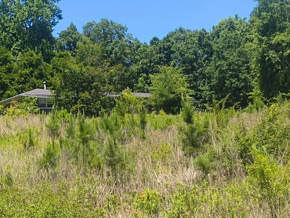 662 High Pine Road Ashland, AL 36251, Clay County