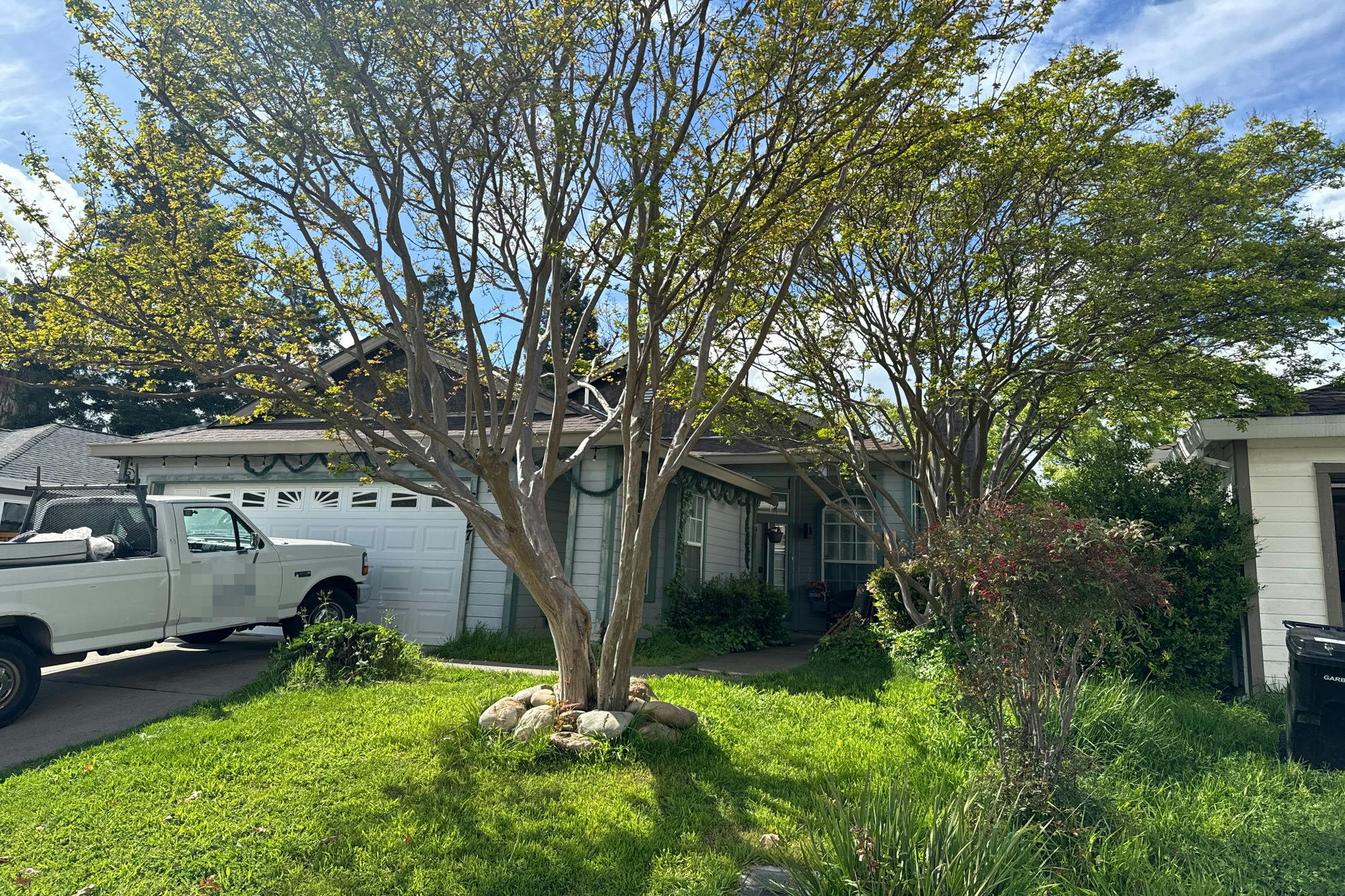Laguna Park Dr, Elk Grove, CA 95758 #1