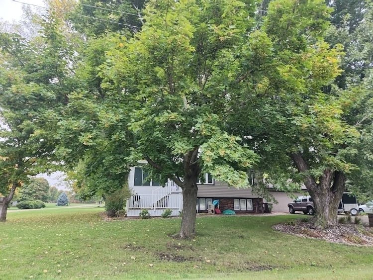 202 Devries Ave S, Hollandale, MN, 56045, USA