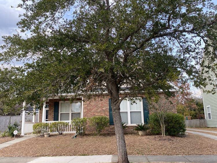 116 Pavilion Street Summerville, SC 29483, Dorchester County