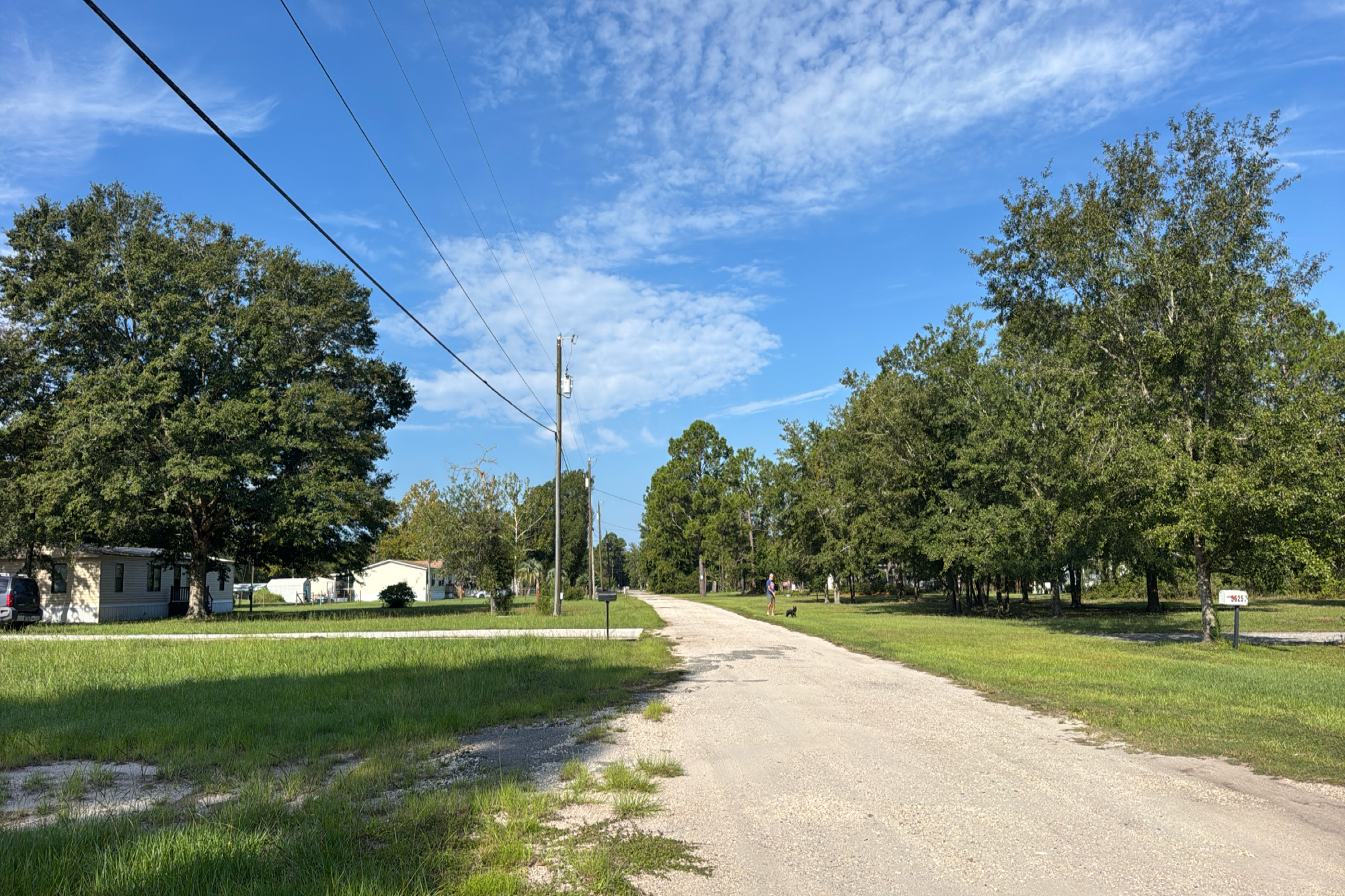 5519 Buzzie Lane photo 4
