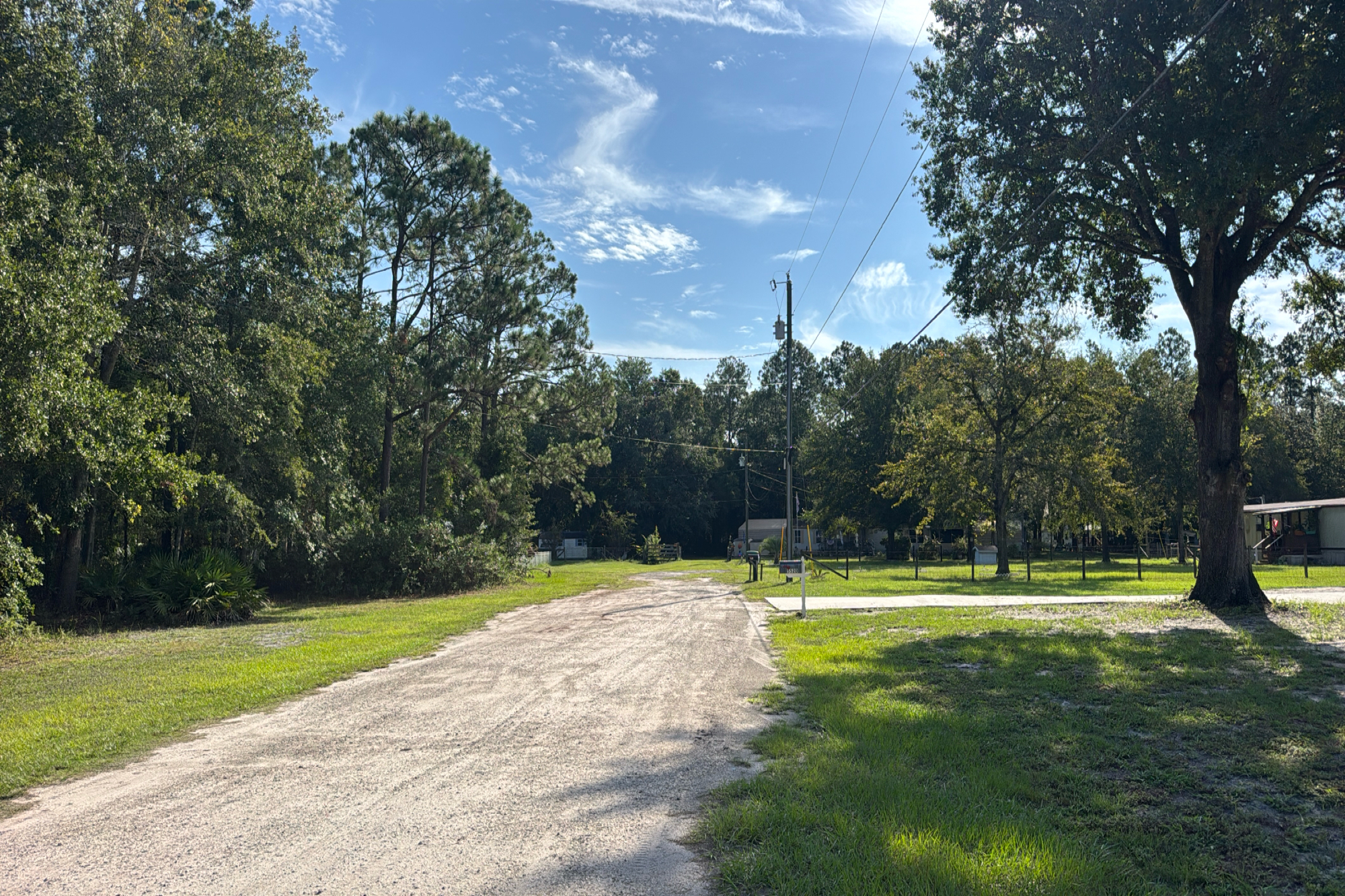 5519 Buzzie Lane photo 5