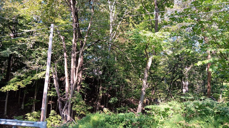 1980 River Rd Mount Bethel, PA 18343, Northampton County