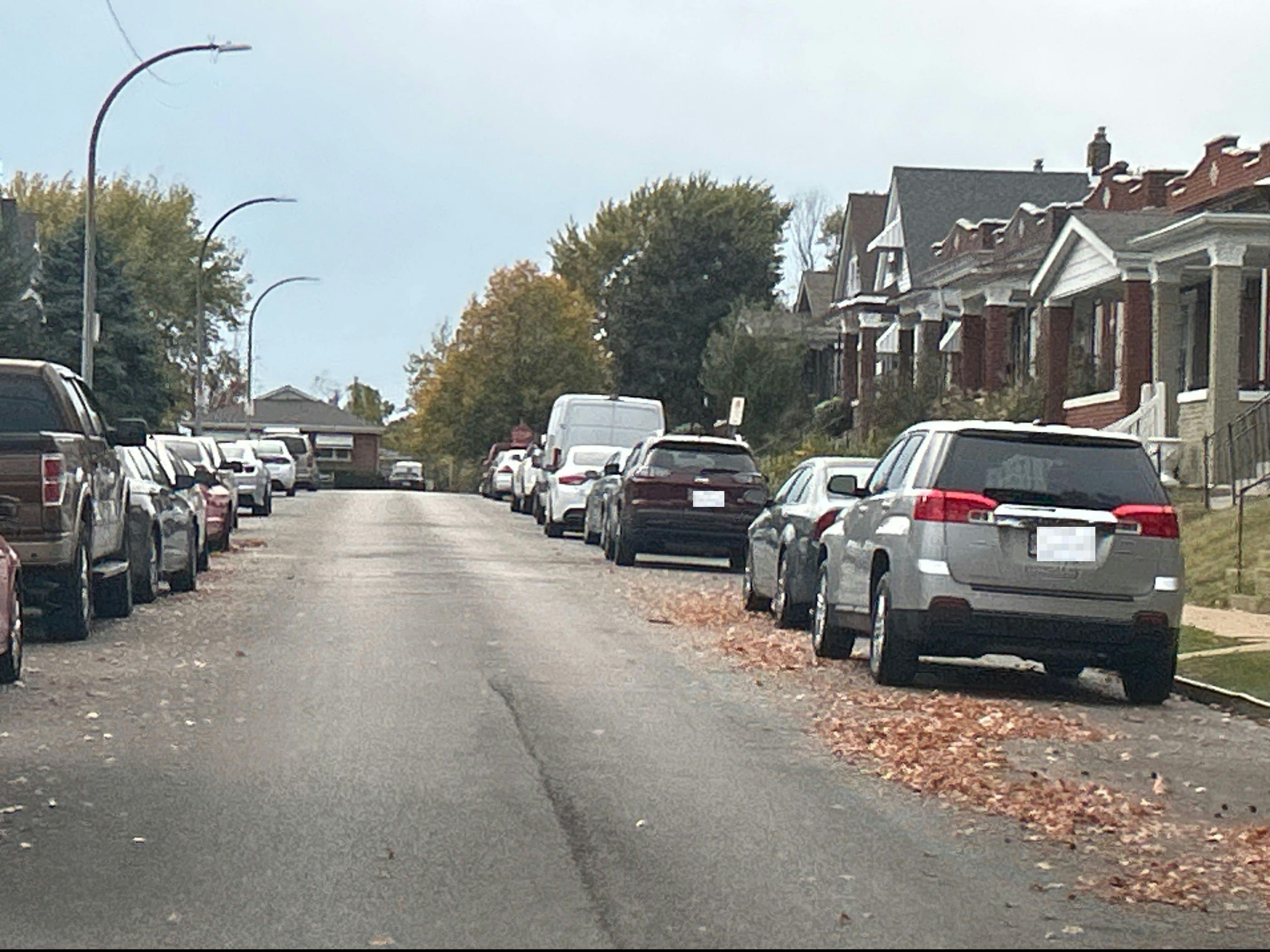 Wallace St, Saint Louis, MO 63116