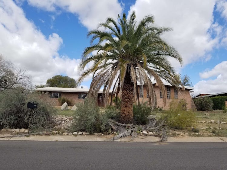 3501 N Camino Esplanade Tucson, AZ 85750, Pima County