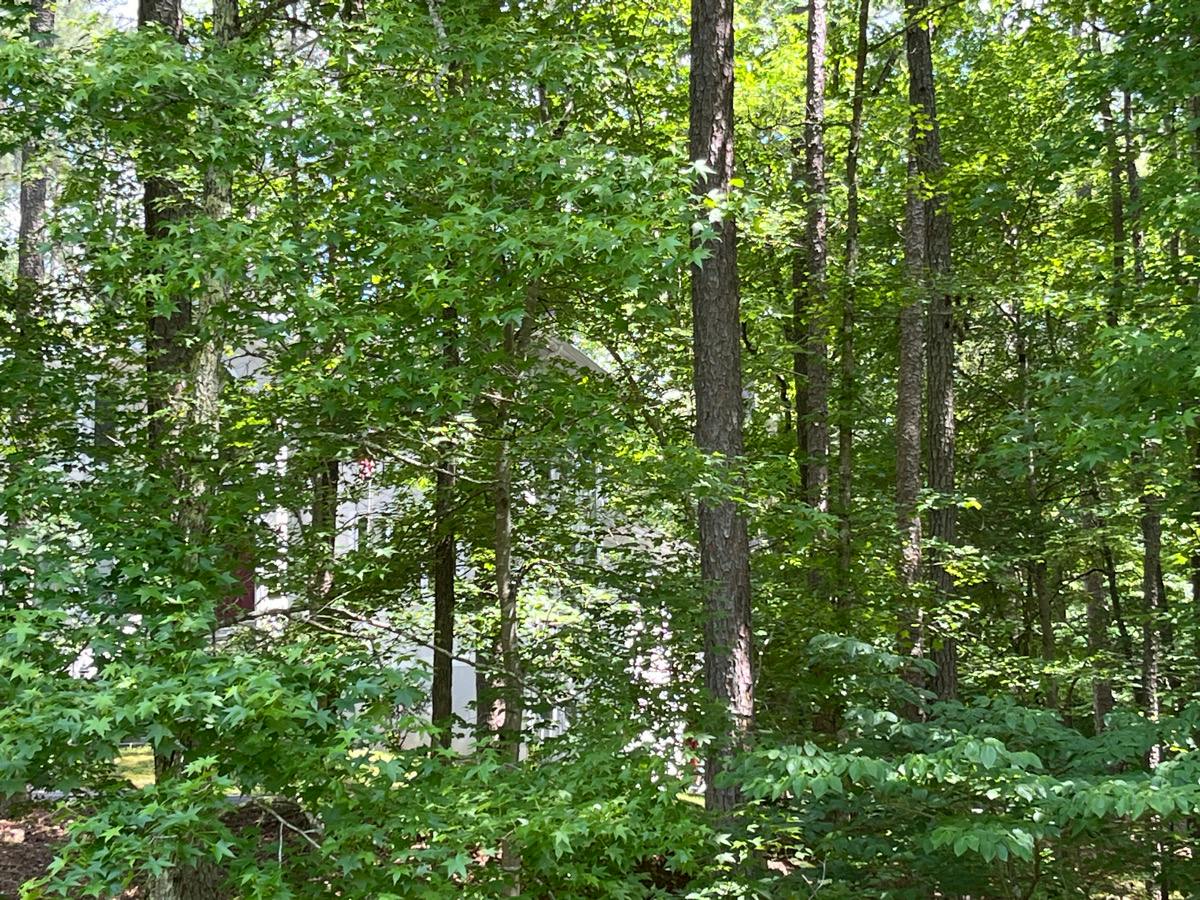 Burning Tree Dr, Henderson, NC 27537 #1