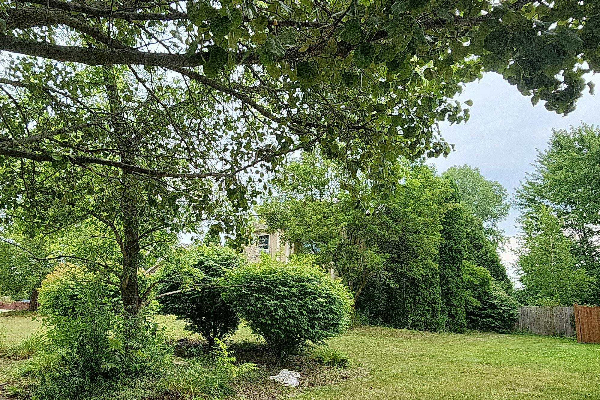 Katherine St, North Ridgeville, OH 44039 #1