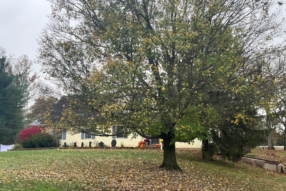 2231 Lenrose Ln NW Corydon, IN 47112, Harrison County