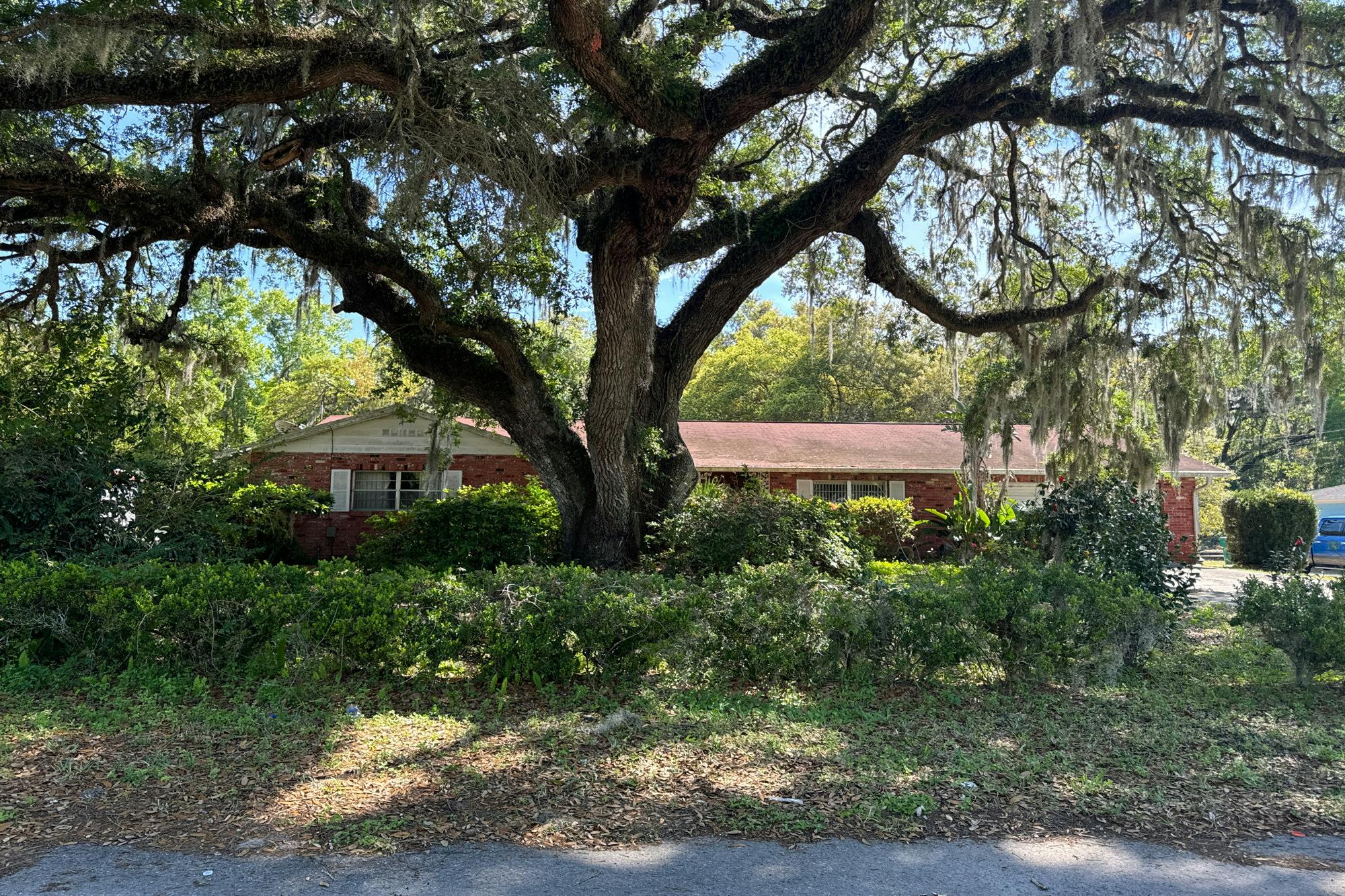 Peters St, Wildwood, FL 34785