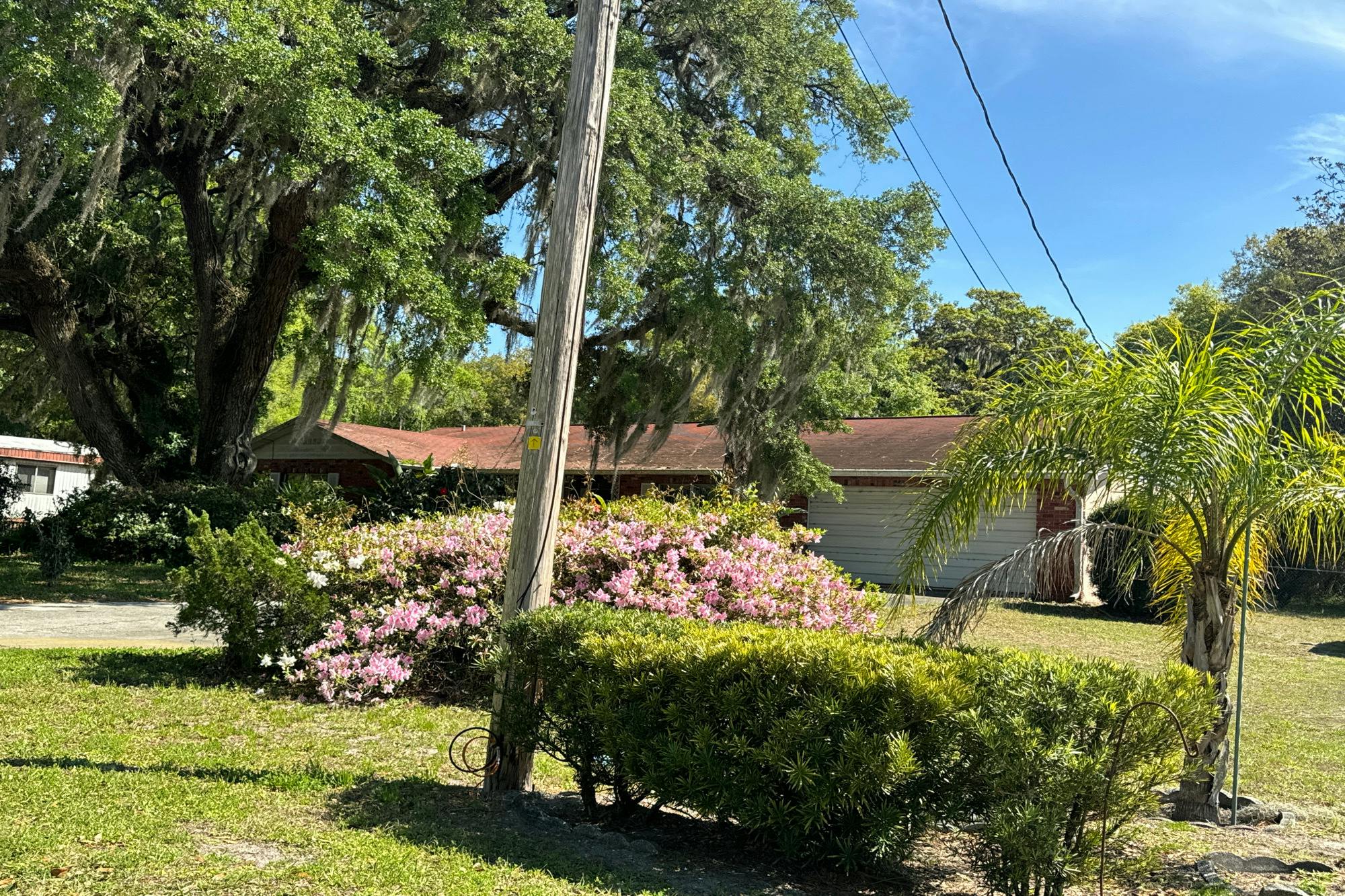 Peters St, Wildwood, FL 34785 #1