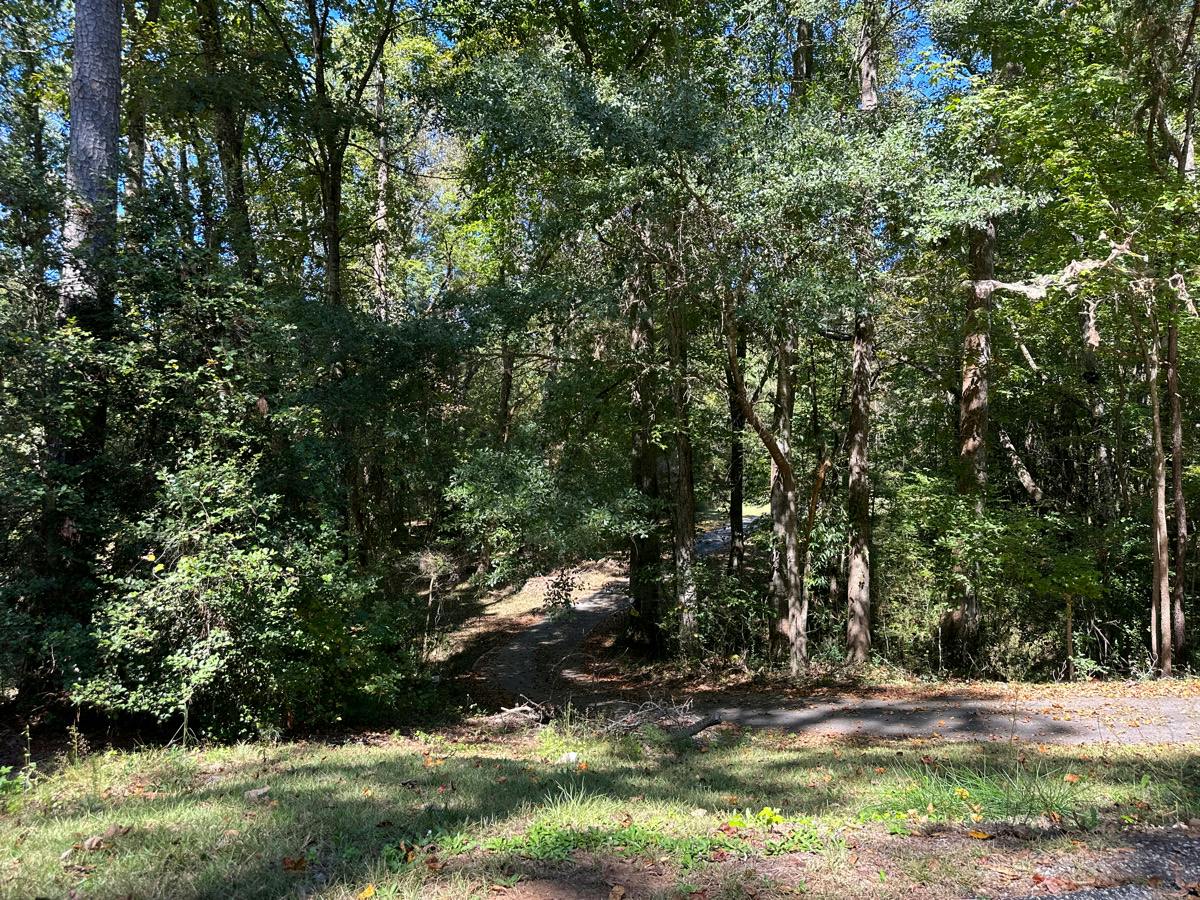 Aiken Chafin Ln, Mcdonough, GA 30252 #1