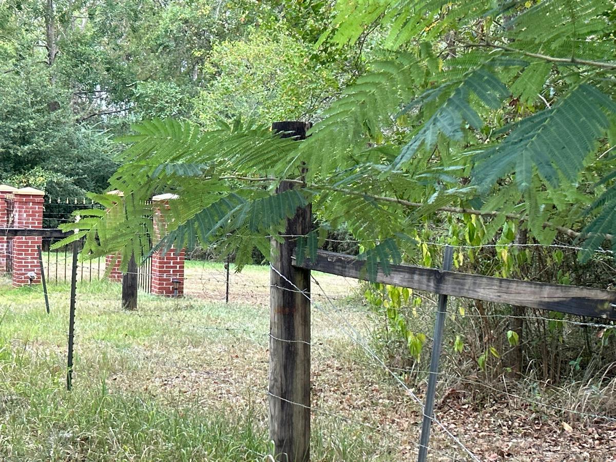 Crandall Rd, Grand Bay, AL 36541