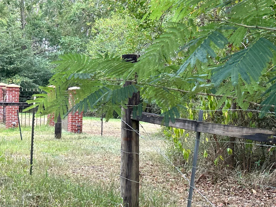 7065 Crandall Rd Grand Bay, AL 36541, Mobile County