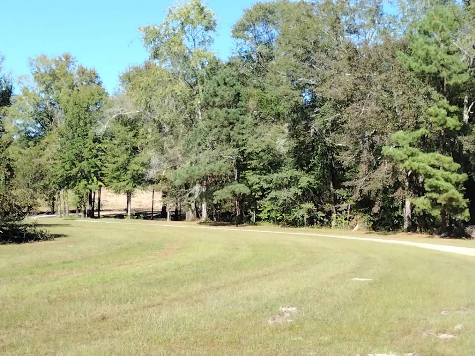 1119 Mosley Chapel Rd Wrens, GA 30833, Jefferson County