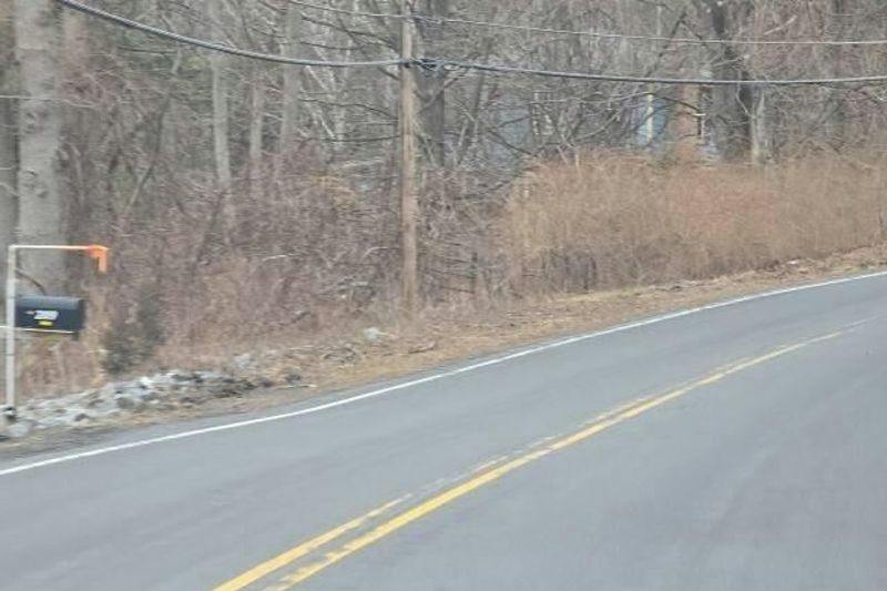 Barton Hill Rd, Schoharie, NY 12157