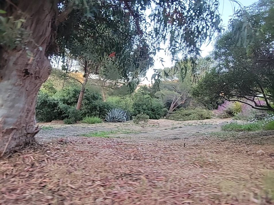 20360 Paradise Ln Topanga, CA 90290, Los Angeles County