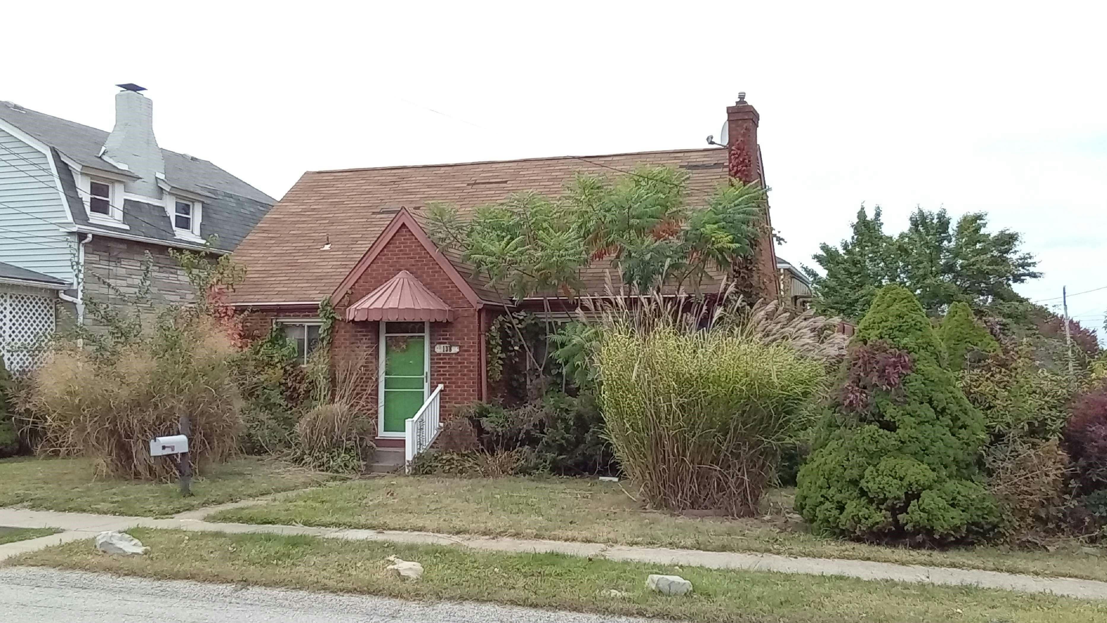 Larkspur St, Homestead, PA 15120 #1