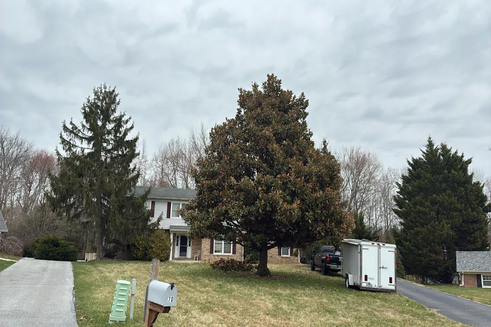 72 Bristle Cone Drive Bear, DE 19701, New Castle County