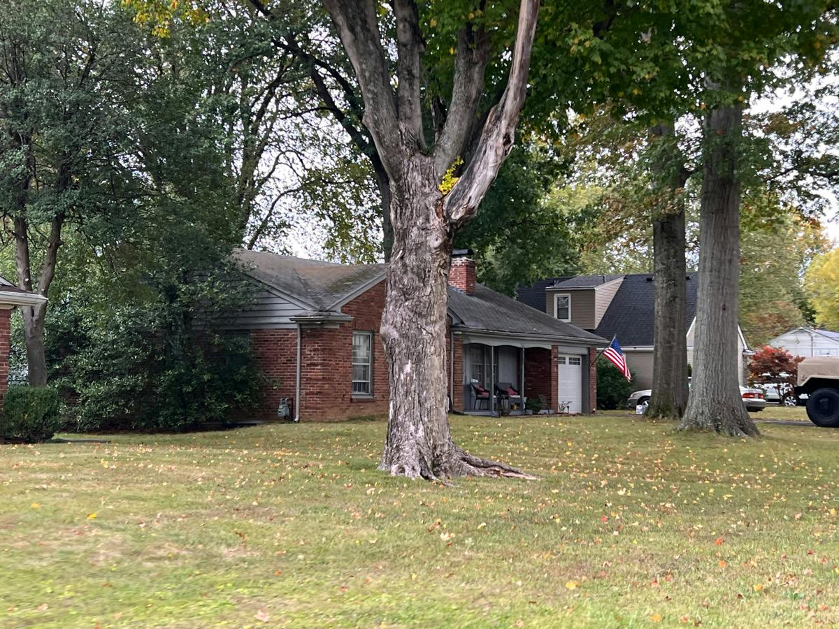 Charing Cross Rd, Louisville, KY 40222