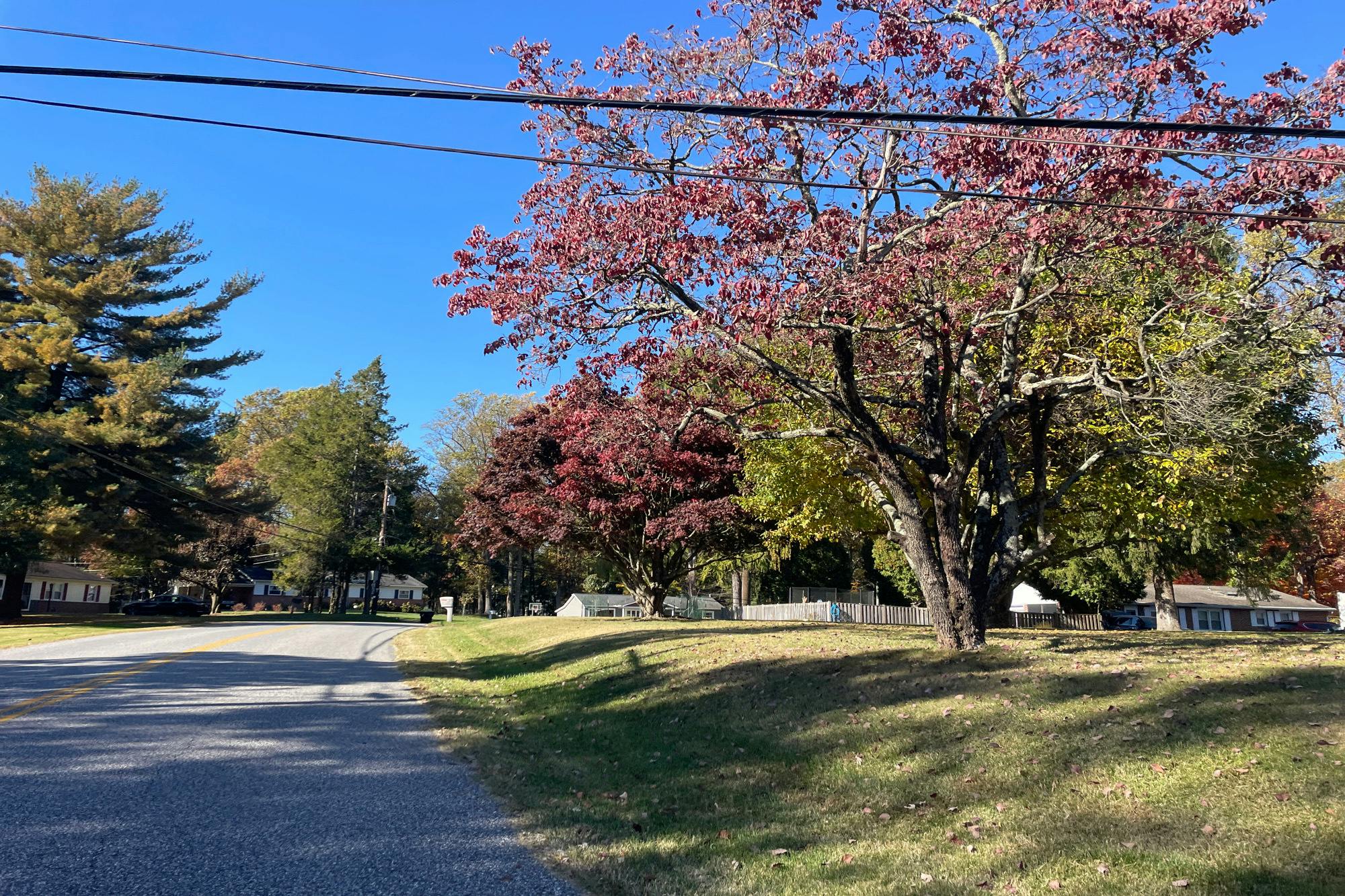 Wild Orchid Dr, Fallston, MD 21047