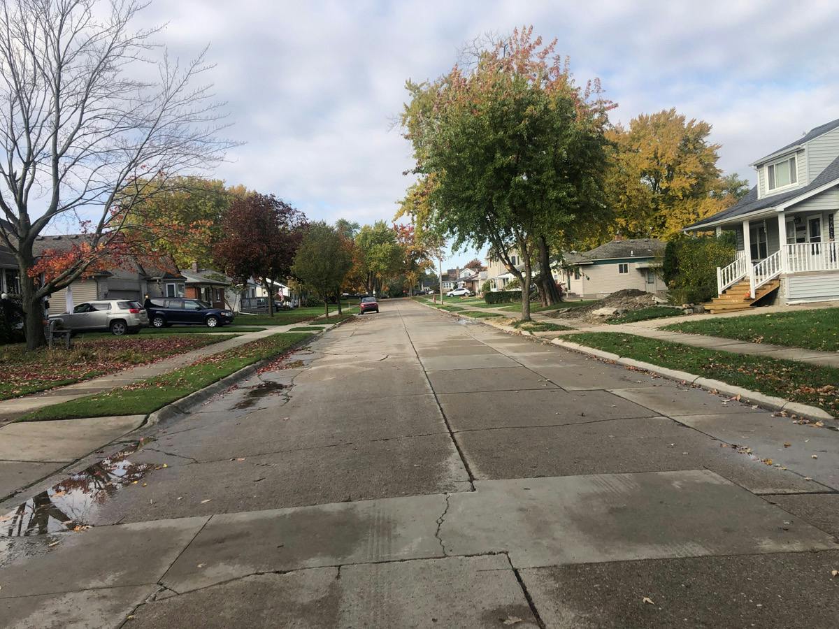 Arcadia St, Saint Clair Shores, MI 48082