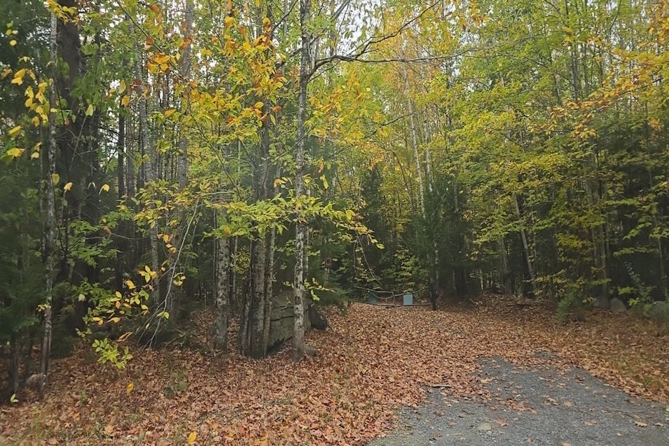 28 Bog Rd Mt Vernon, ME 04352, Kennebec County