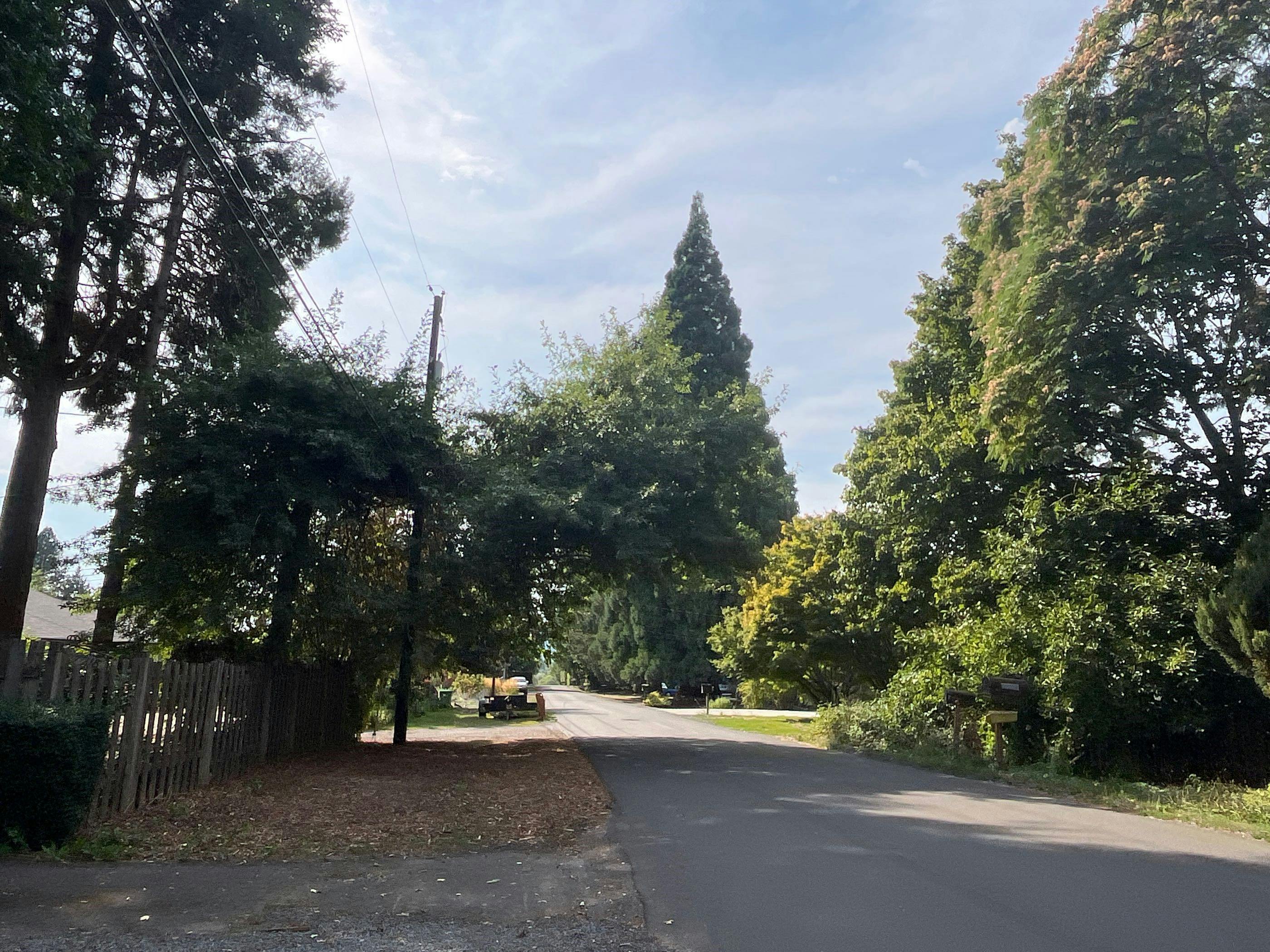 Mapleleaf St, Portland, OR 97223
