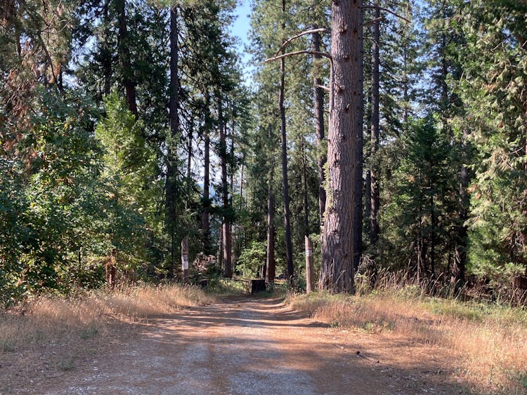 480 Ridge Road North San Juan, CA 95960, Nevada County