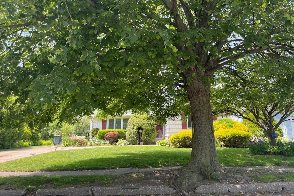 1939 Lincoln Avenue East Meadow, NY 11554, Nassau County