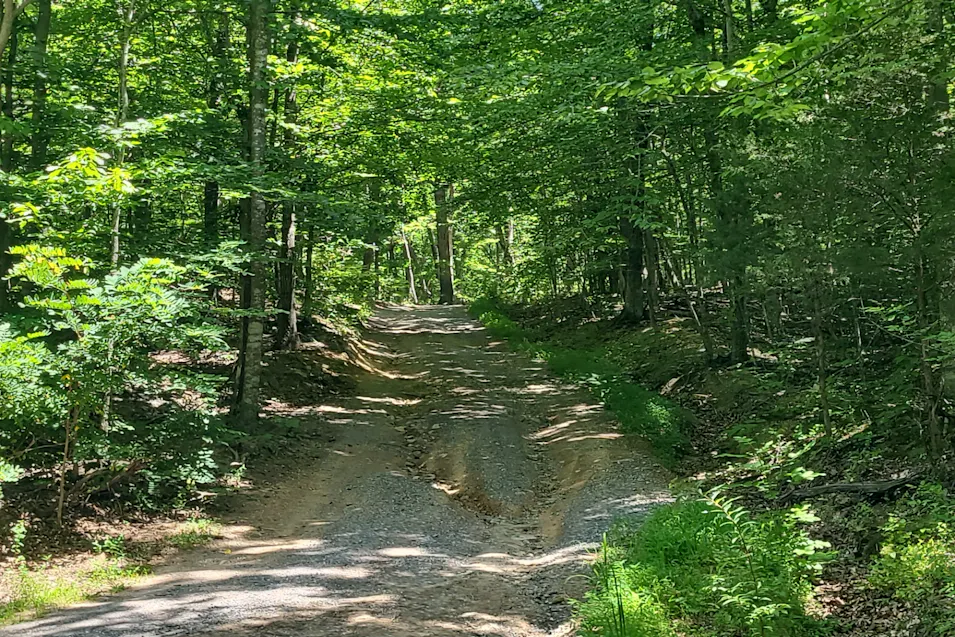 9079 Pike Road Montvale, VA 24122, Bedford County