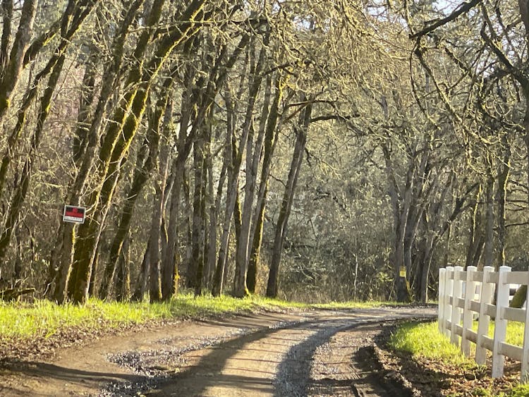 2829 SE Booth Ave Roseburg, OR 97470, Douglas County