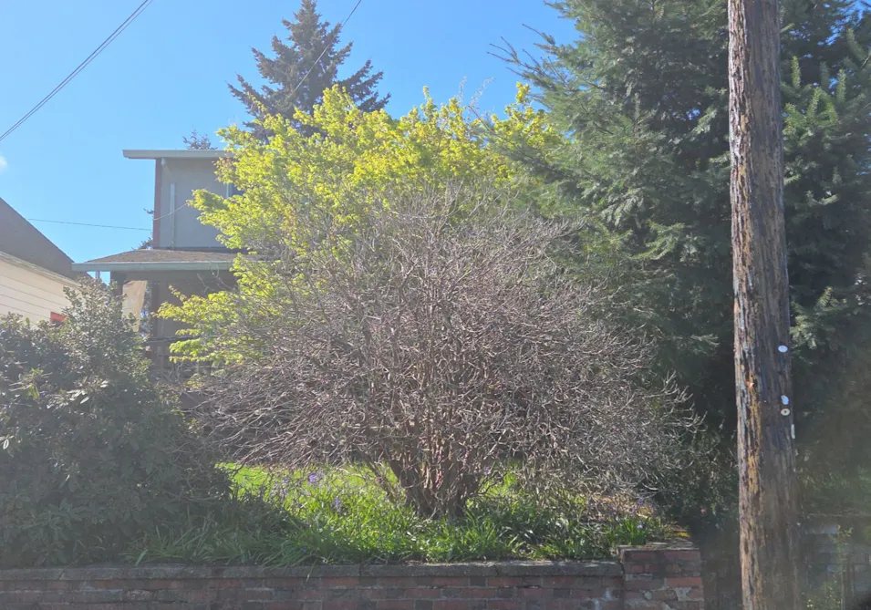 1025 Ellinor Ave Shelton, WA 98584, Mason County